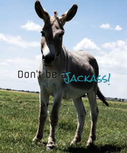 Don't be a Jackass!